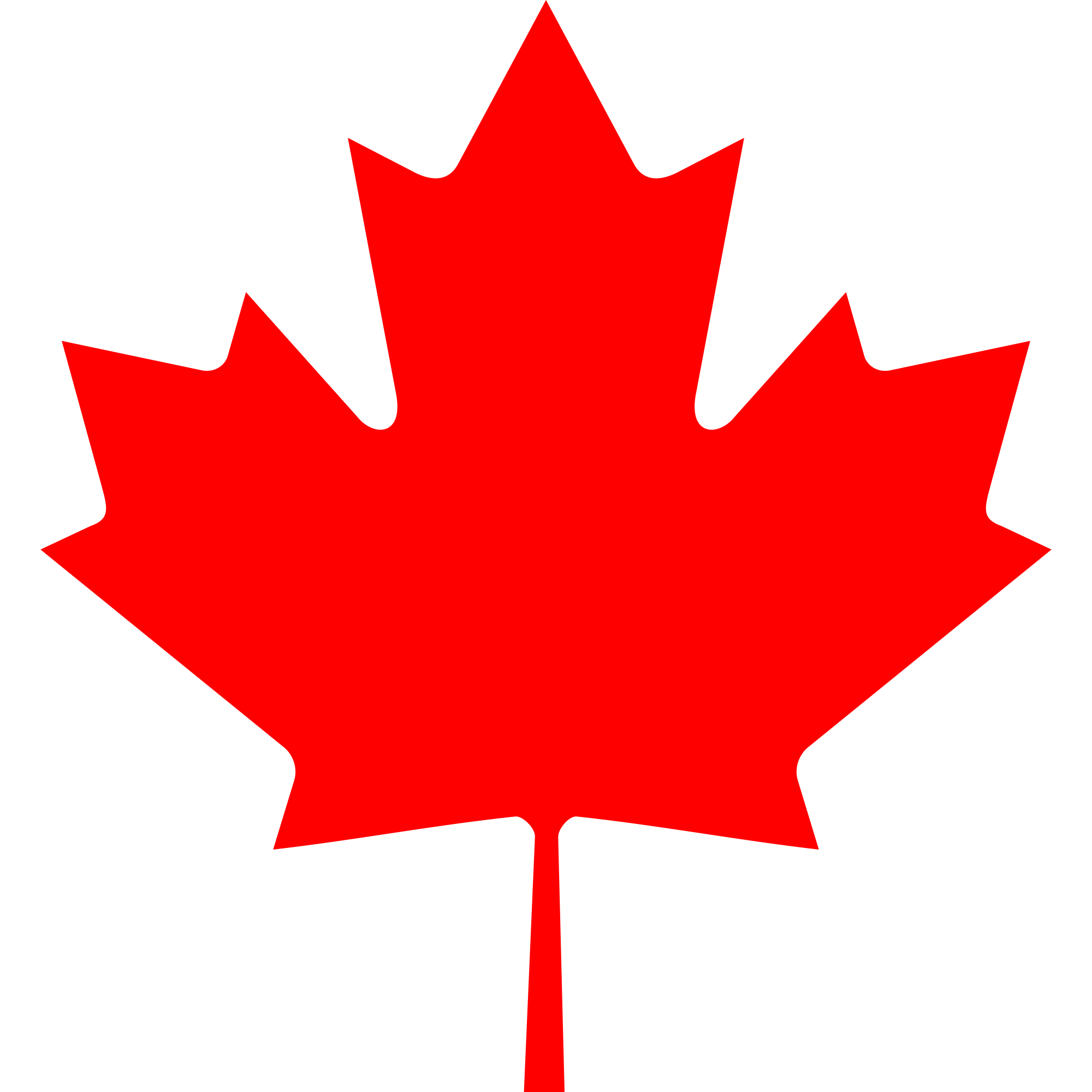 red maple leaf